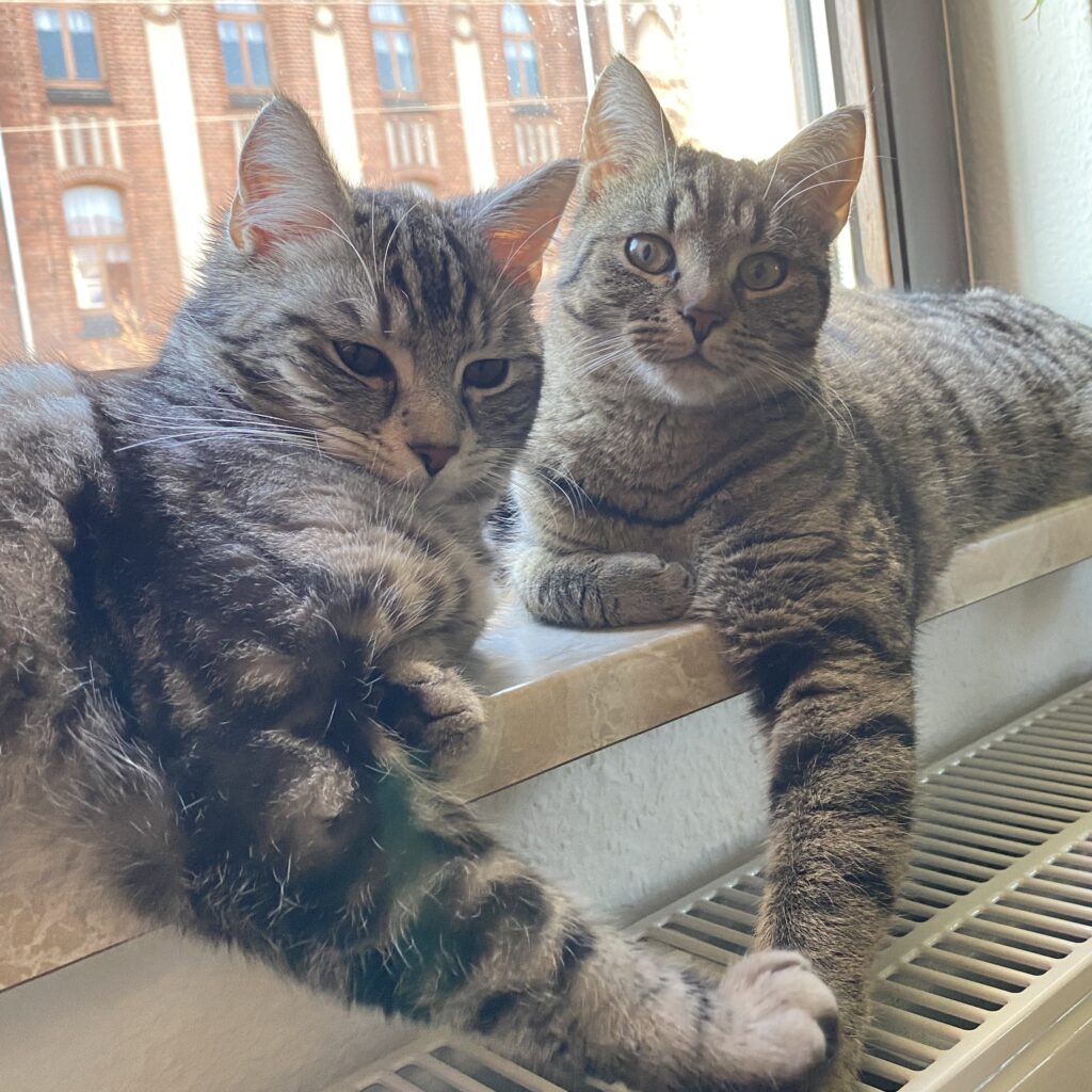 2023 02 08 12 04 img 2640