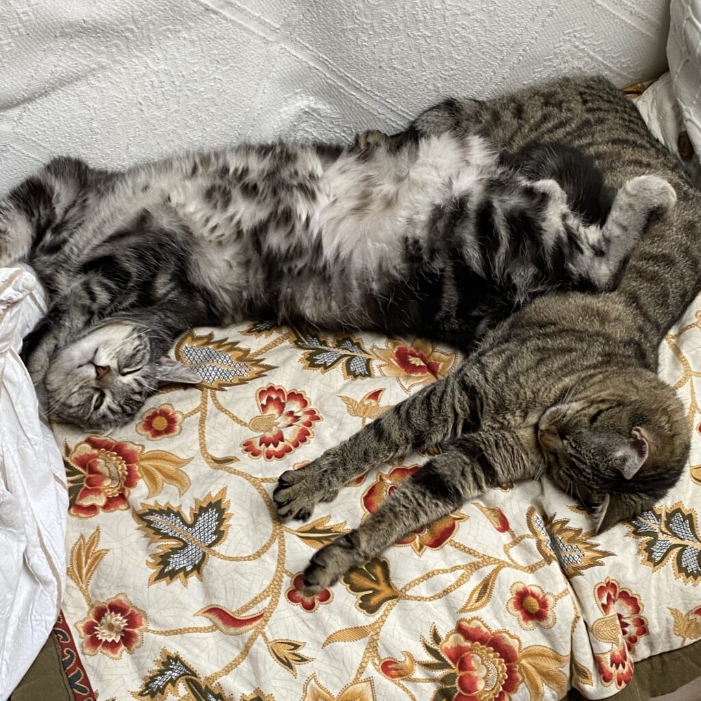 2023 02 18 16 22 img 2714