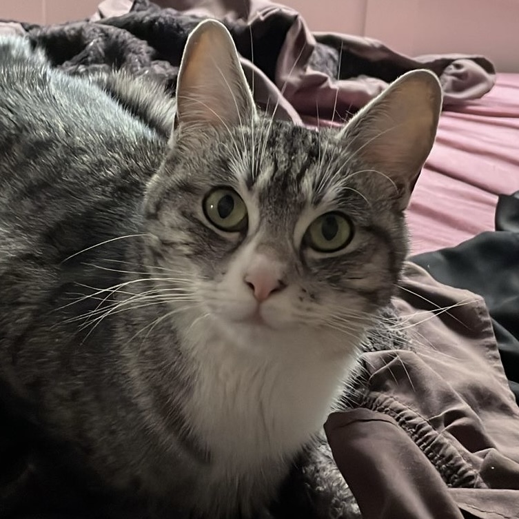 23d660cf 9d94 41c6 8526 521954f97712 2