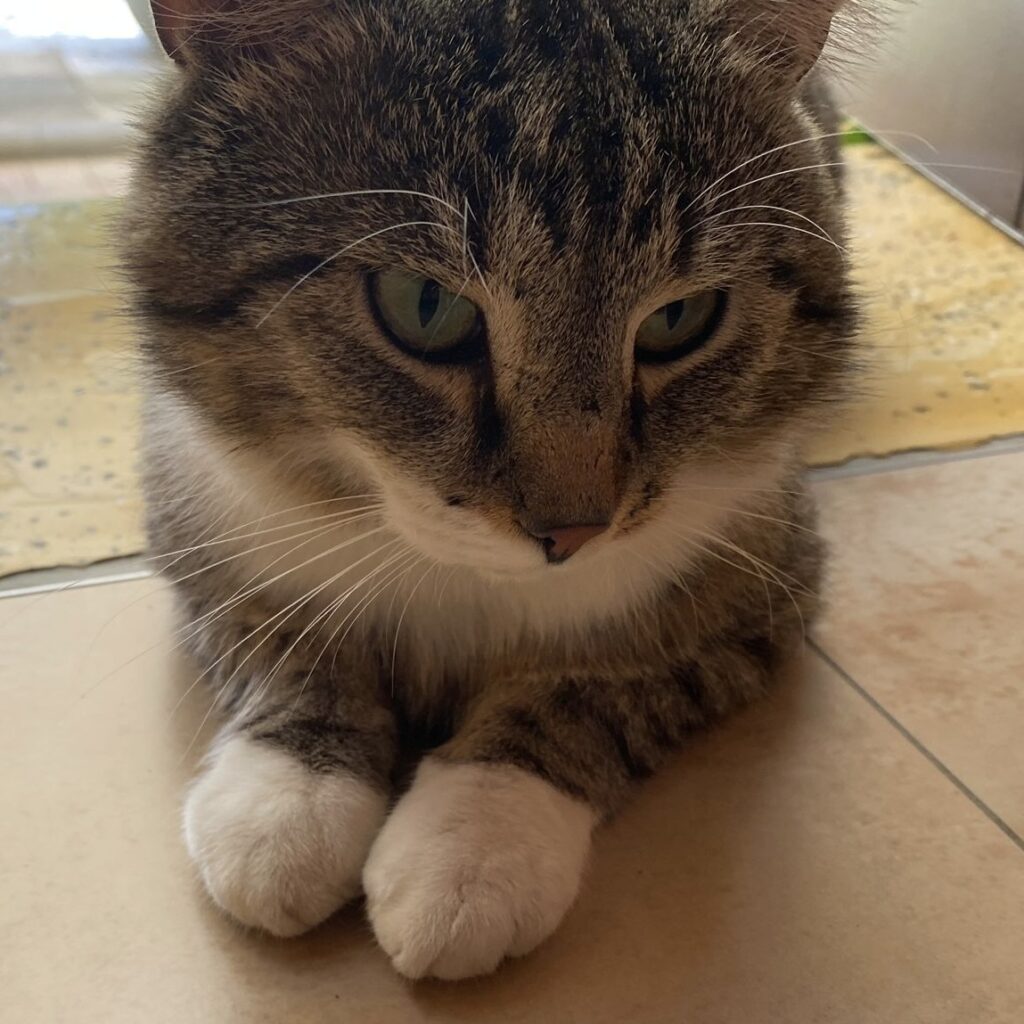 8a5ee425 defb 49a6 8ea9 900cba2495cc 2