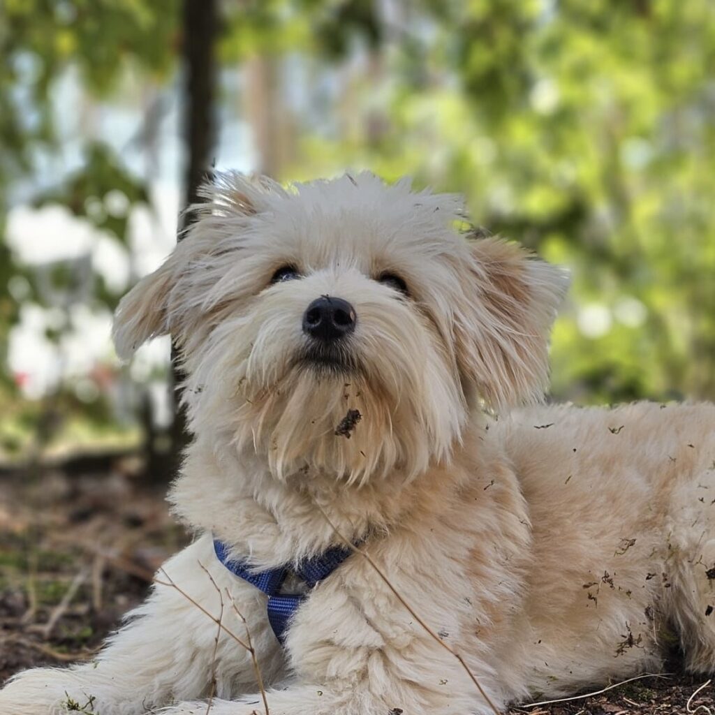 cdcdd407 46e1 4600 b3a3 584f82ae23dd 2