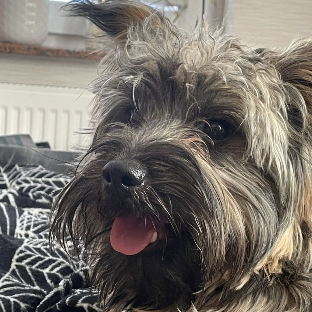 d2393f85 df80 4871 859a 8d8c635999bd 2